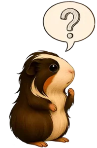 FAQCollegeStationBryanTexas